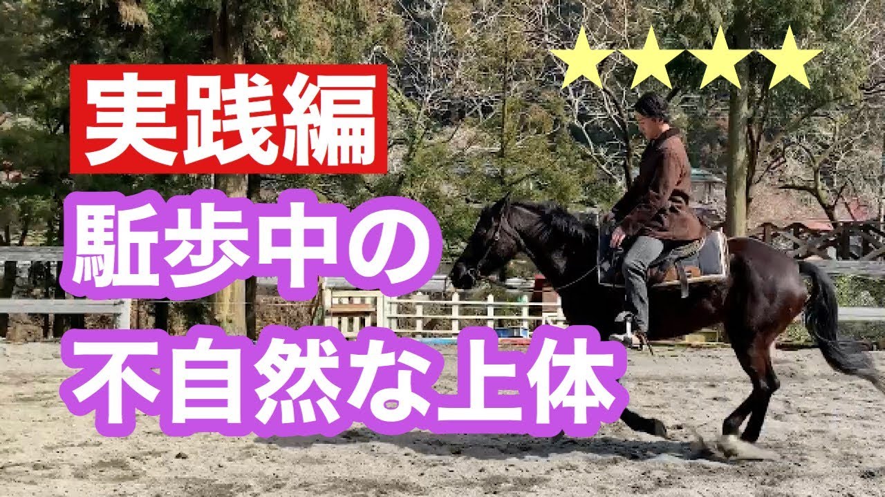 103.駈歩継続のコツ 駈歩で上体が無駄に動く場合【実践編】