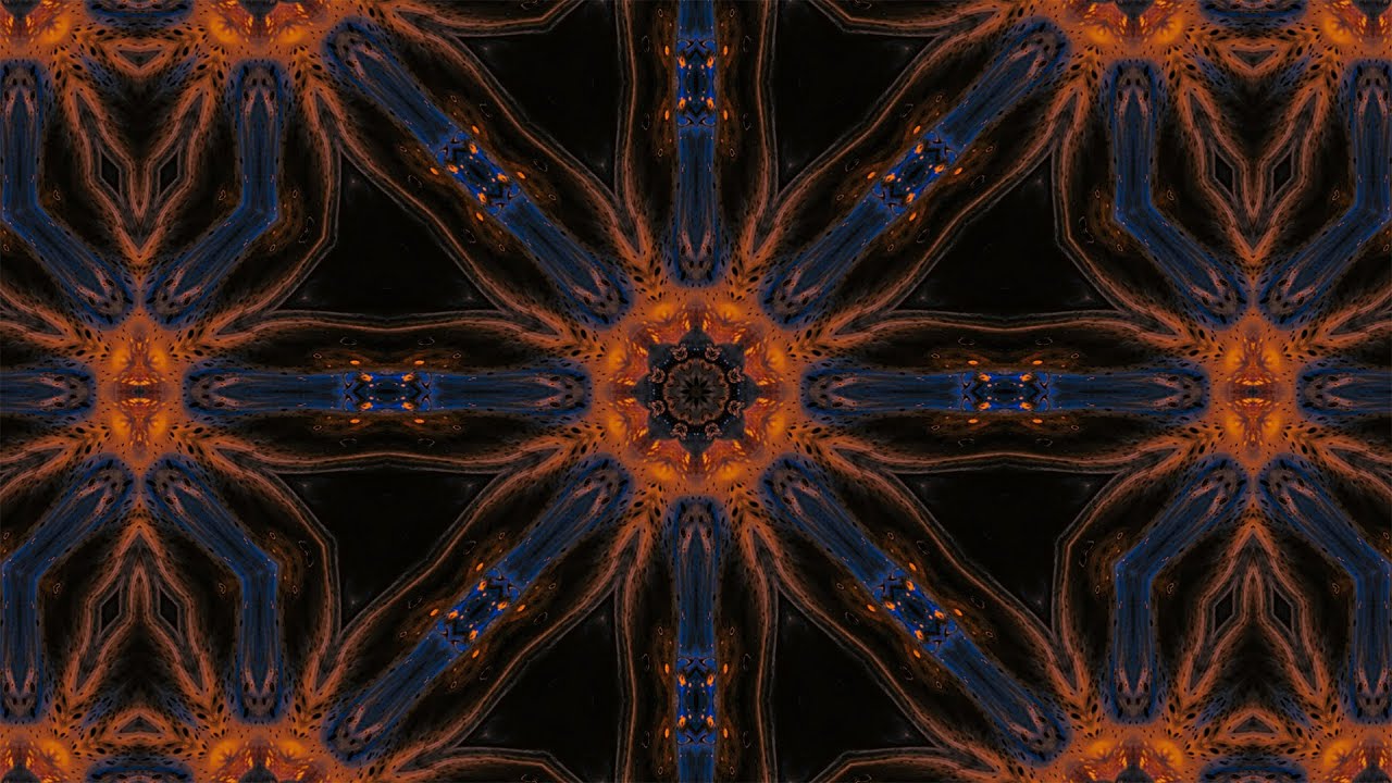 Everything is Connected ☯ Terence McKenna