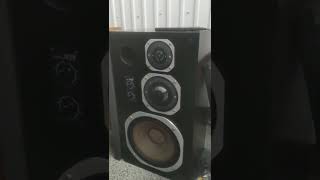 Victor sx 5ii в сравнении coral x vii