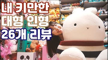 대형 인형 26종 리뷰! 내 몸만한 거대 인형 / 대형 인형 추천 / 케어베어&리락쿠마&도라에몽&동물인형