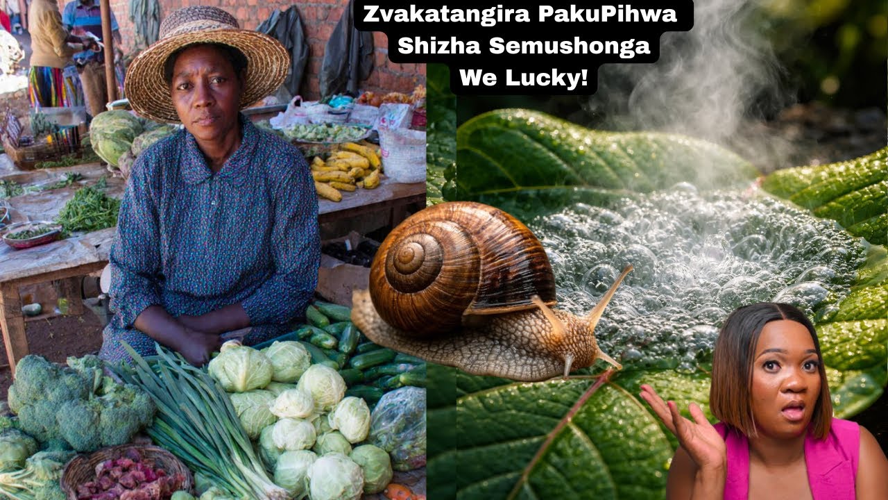 KUROMBA Gone wrong -Shizha Rakachinja kuita Hozhwa