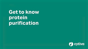 Protein purification tutorial: a workflow for lab-scale purification