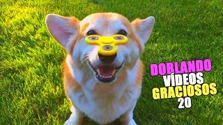 DOBLANDO VÍDEOS GRACIOSOS 20