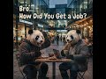 This Panda’s Story = Every Fresher’s Reality 🐼 #jobs #careergrowth #placement #internship #coding