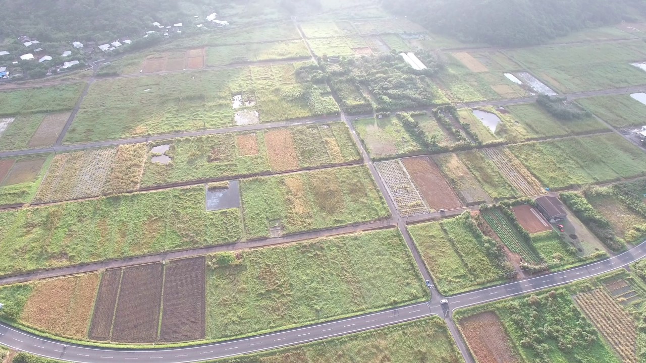 龍郷町 秋名（奄美大島）ドローン空撮4K