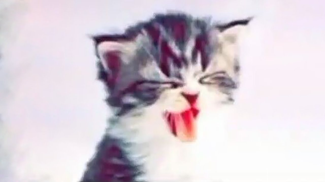 [FREE] goofy x ian type beat - 