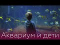 Аквариум и дети | Доктор Комаровский