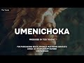 "UMENICHOKA"Bongo Fleva Instrumental Type Beat | (Baibuda x Zouk Instru) Prod.Tizo Touchz