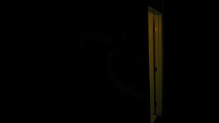 Project Reflection (Episode One: Patient 001)
