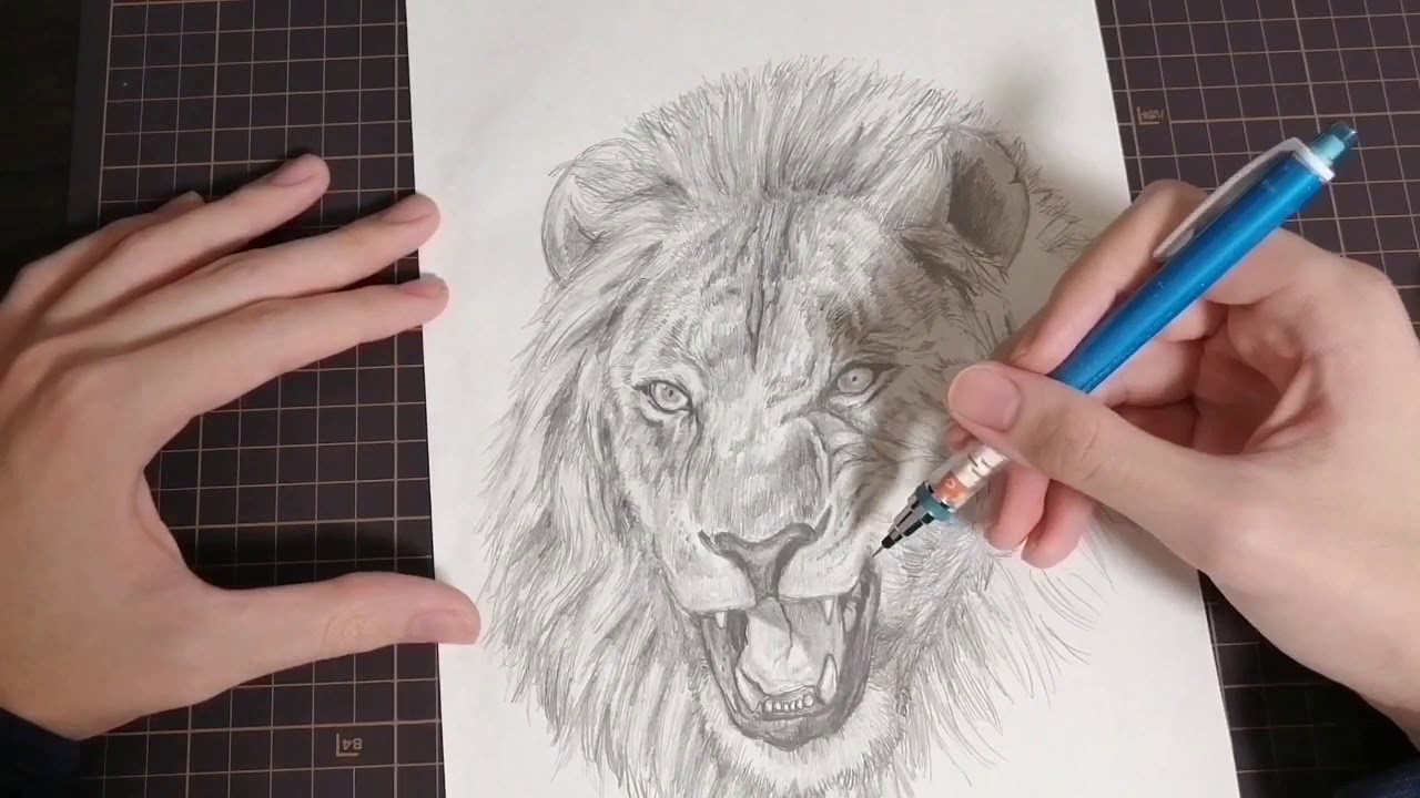 イラスト ライオンを描いてみた I Tried Drawing A Lion Youtube