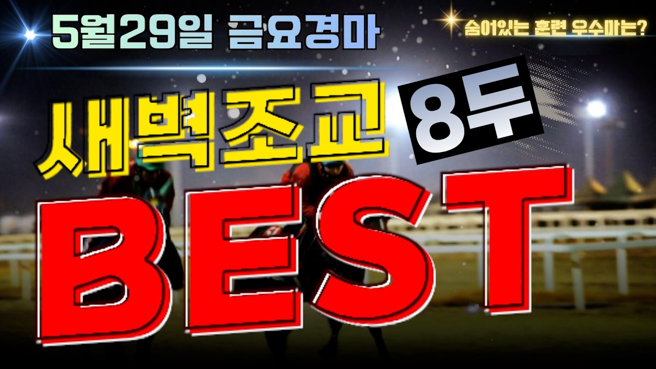 [굽소리경마] 배당요소 다 갖춘 5월5주차 부산경마!! 해법은?? 승리안길 훈련우수마 8두!!#새벽조교#부산경마#조교우수마#굽소리경마