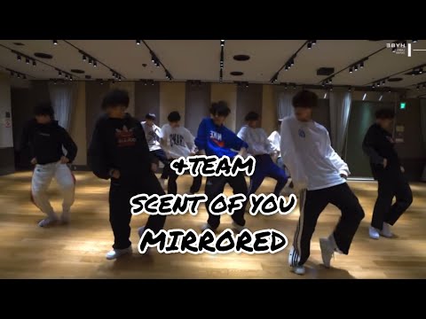 &TEAM(앤팀)-'SCENT OF YOU' dance practice mirrored