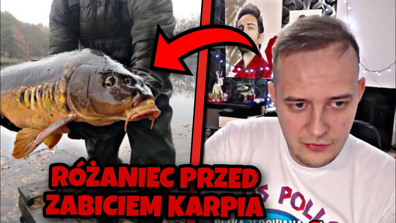 PRZEDŚWIĄTECZNE TELEFONY MAHONKA!! (23.12.2022) #mahonek #nazywo #telefony #shoty #live #śmieszne