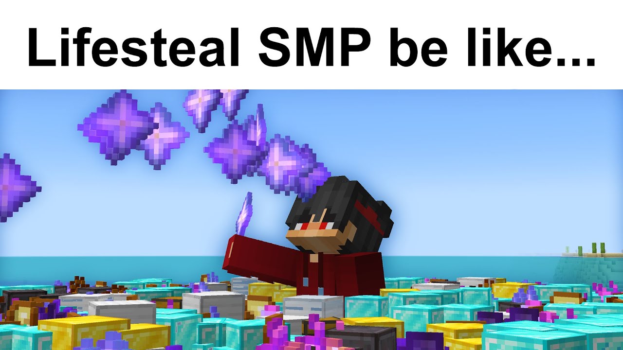 Lifesteal SMP Slander 5