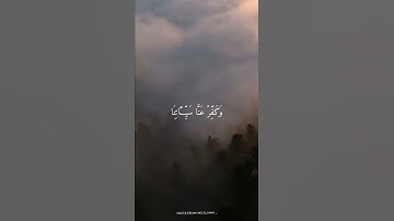 #قران_كريم #المنشاوي #تلاوة_خاشعة #المنشاوي_الباكي #تلاوة_مميزة #تلاوات_نادرة