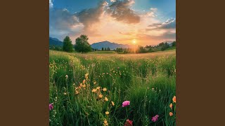 Calm Reflections — Piano Relax