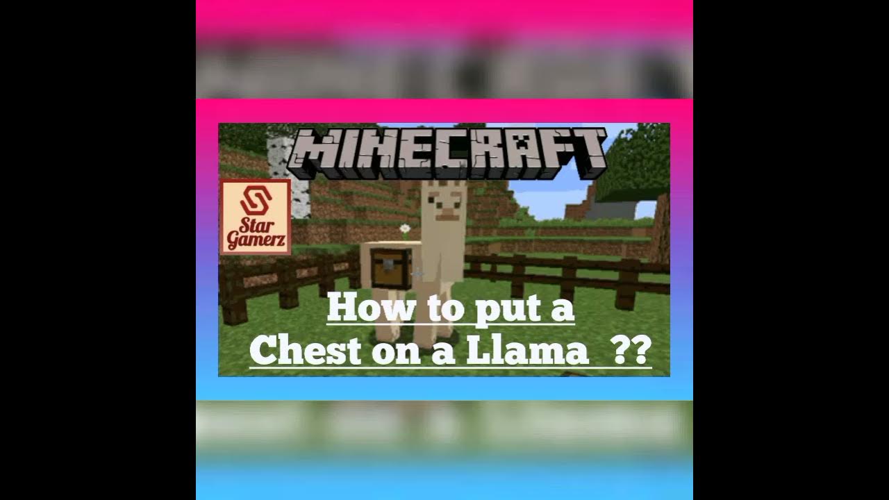 How to Put a Chest on a Llama in Minecraft ?? For Basic Learners YouTube