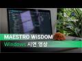 WiSDOM Windows Video 2