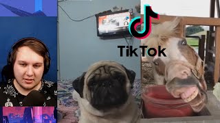 САМЫЙ КРУТОЙ ТИК ТОК! ПРИКОЛЫ И ЖЕСТЬ В TIK TOK!