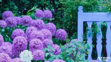 فخلف من بعدهم خلف أضاعوا الصلواة الربع الرابع من الجزء السادس عشر من سورة مريم الحصري المعلم للقران