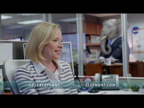 Sarah Brandon- Elephant Insurance