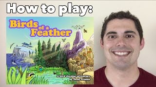 Birds of a Feather: How to Play! screenshot 4