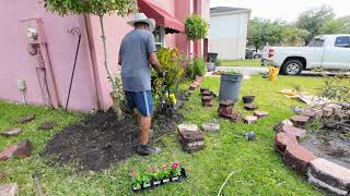 Front Yard Clean Up and Planting Seeds & Flowers #yard, #gardening