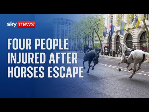 Four people injured after military horses escape in London.