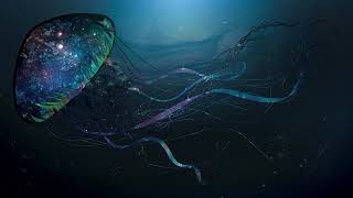 Voidfish Duet