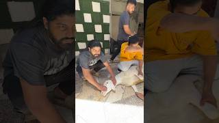 Last moments of dumba😭#ytshorts #petlover #youtubeshorts #viral #sad #crying #death #india #shorts
