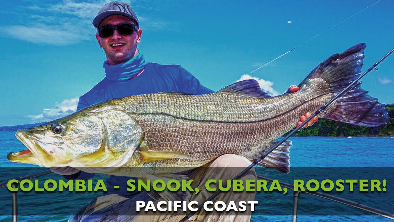 COLOMBIA - SNOOK - ROOSTER - CUBERA - POPPING - YouTube