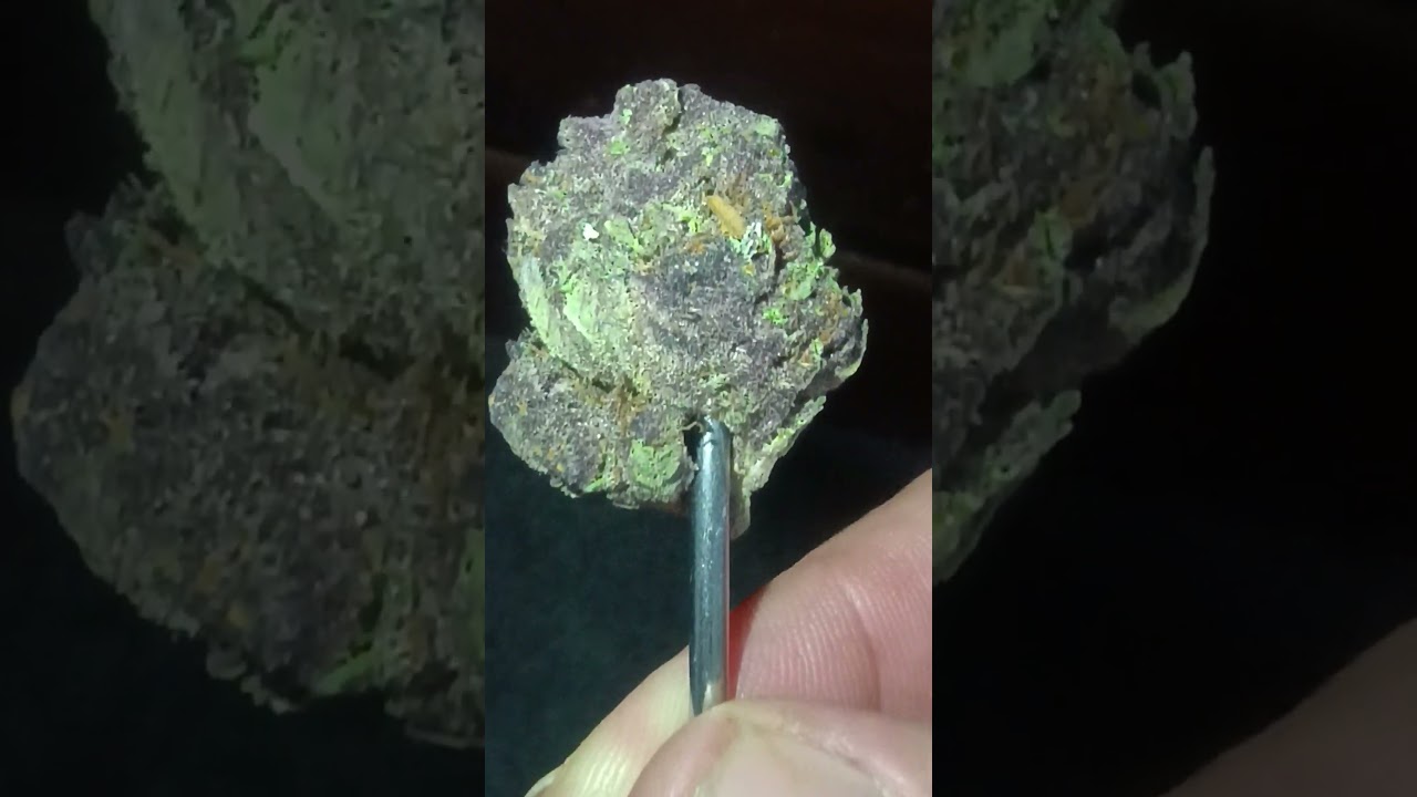 Tropicana Cherry (TSB)