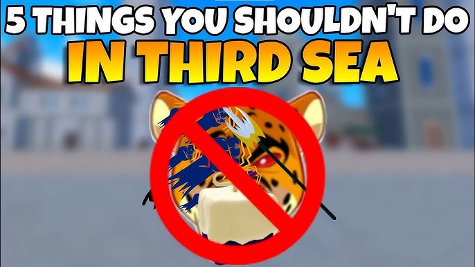 Blox Fruits) Top 5 things you should get in THIRD SEA! 