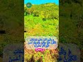 م ن ك ان ي ر ج وا ل ق آء ٱلل ه ف إ ن أ ج ل ٱلل ه ل أ ت و ه و ٱلس م يع ٱل ع ل يم