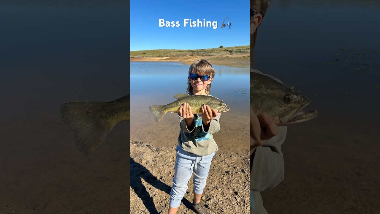 🎣 Hooked on a beauty! Bass fishing under the South African sun ☀️🇿🇦  