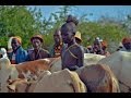 Ceremonia Hammer del salto toros. Etiopia.