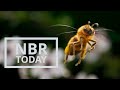 NBR Today business news with Paul Brennan October 20th