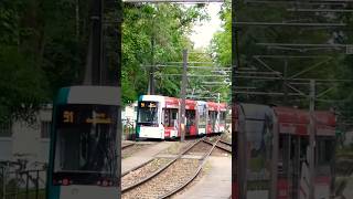 Potsdam Tram 🇩🇪 • Vario 435 • Rehbrücke • 13.07.2022