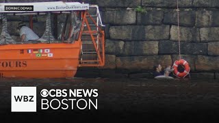 Duck boat comes to rescue of child and father after fall into Charles River