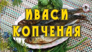 ИВАСИ КОПЧЕНАЯ (НА ВКУС И ЦВЕТ ТОВАРИЩА НЕТ)