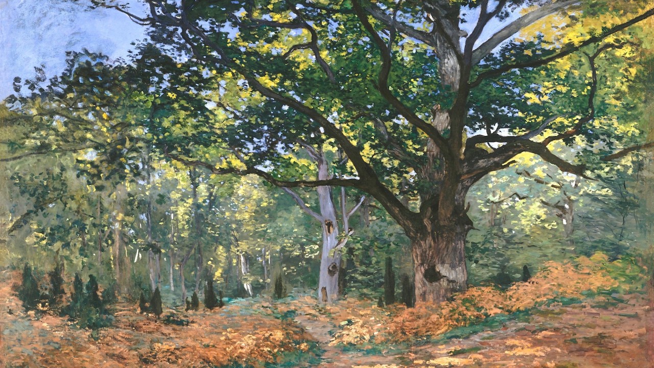 Claude Monet | The Bodmer Oak, Fontainebleau & More