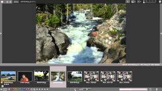 Nikon View Nx 2 Tutorial Browsing Experience 13