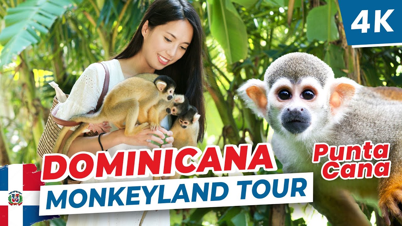 [4K] 🇩🇴 Monkeyland Tour in Punta Cana, Dominican Republic