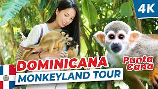 [4K] 🇩🇴 Unforgettable Monkeyland Tour in Punta Cana, Dominican Republic