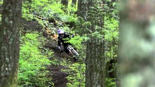 From the Inside Out - Stevie Smith