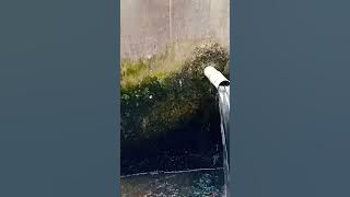 air pancuran pedesaan