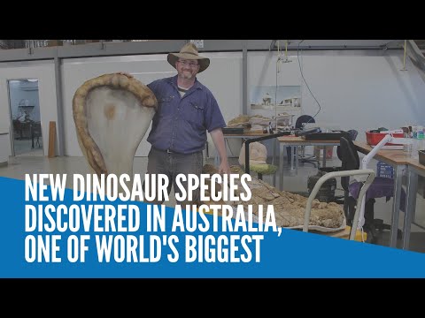New dinosaur species discovered in Australia, one of world's biggest