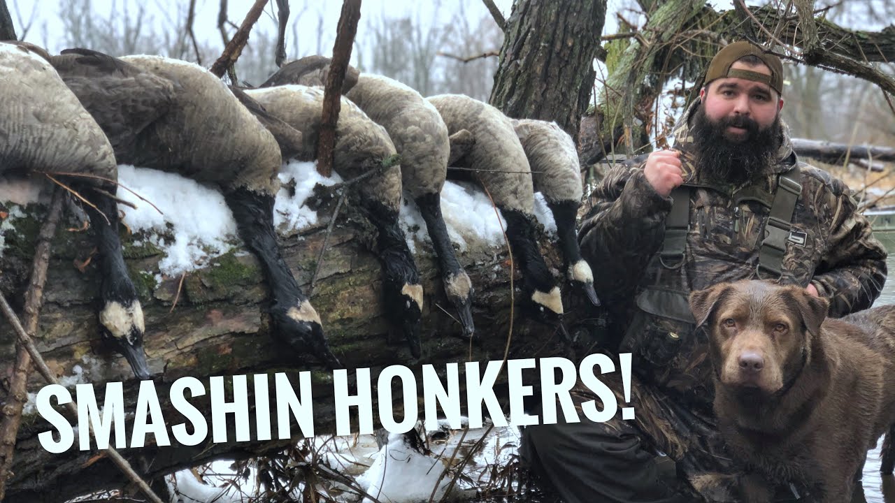 Limits of Late Season Honkers! - Cookin Eggs and Smashin Geese
