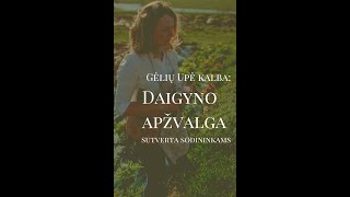 Mūsų gėlių ūkis neegzistuotų be gėlių daigyno