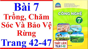 Công Nghệ 7 Bài 7 | Trồng Chăm Sóc Và Bảo Vệ Rừng | Trang 42 – 47 | Chân Trời Sáng Tạo
